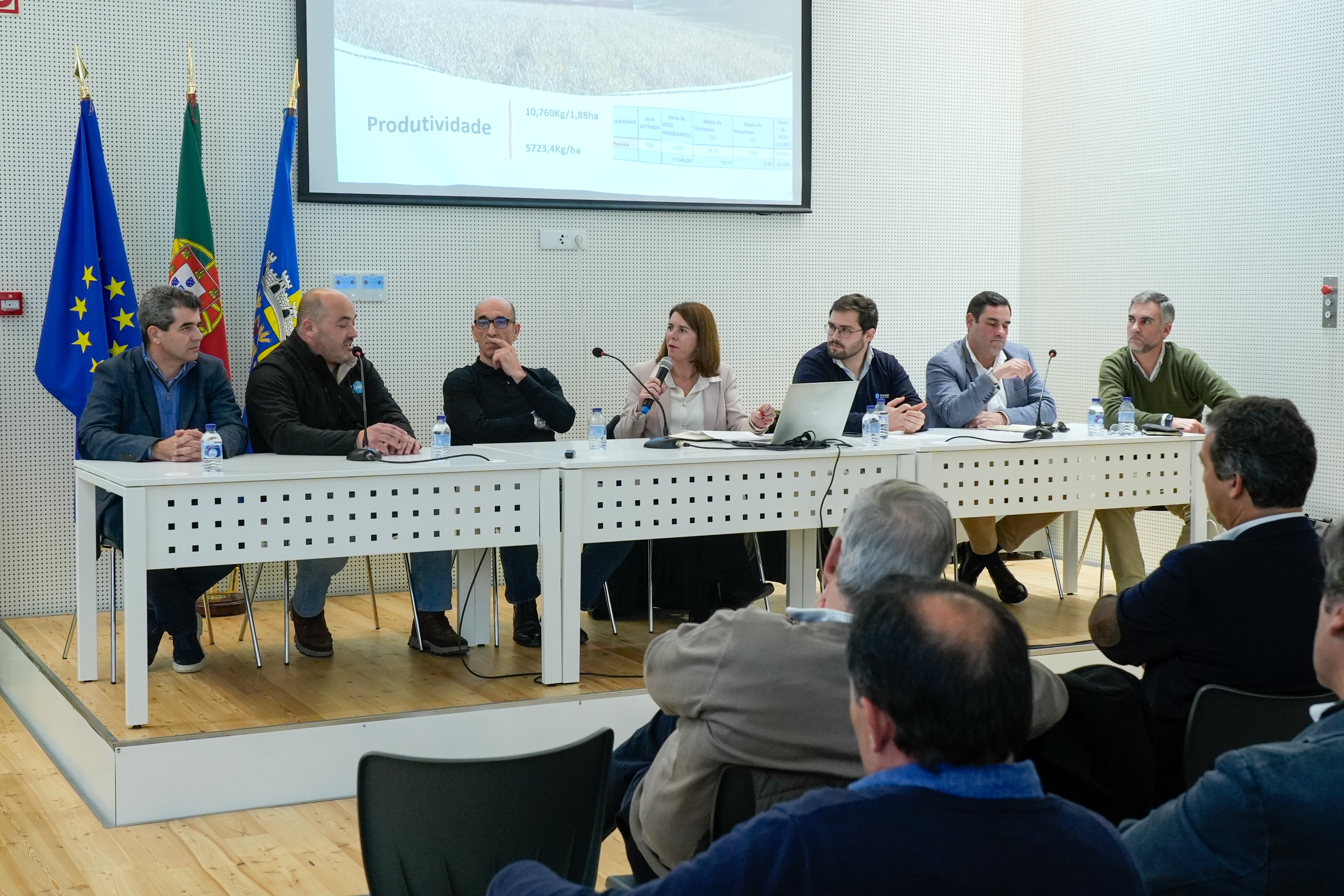 Ensaio de produção arroz com rega gota-a-gota na Agroglobal obteve produtividade idêntica à média nacional